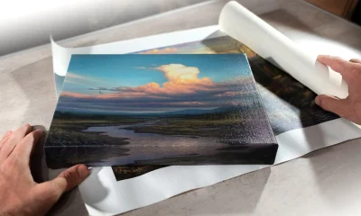 Photo by chuckblackart.com - Best Resolution and DPI Settings for Selling Art Prints Online