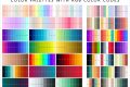 Photo by vecteezy.com - How to Create a Cohesive Color Palette Across Your Portfolio