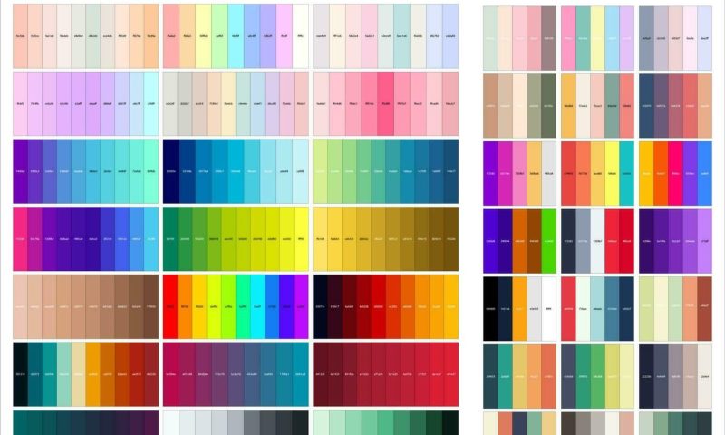 Photo by vecteezy.com - How to Create a Cohesive Color Palette Across Your Portfolio